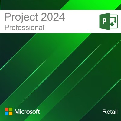 project_2024_professional